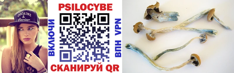что такое   Инсар  Галлюциногенные грибы MAGIC MUSHROOMS 